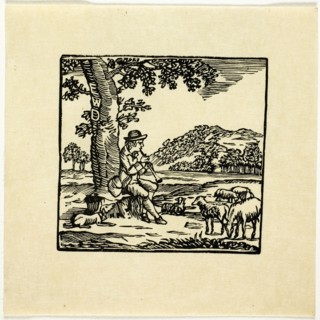 Book Illustration, n.d.
