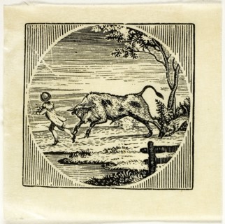 Book Illustration, n.d.