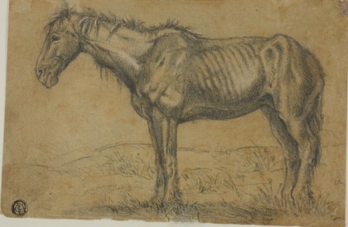 Emaciated Horse (recto); Frontal View of a Horse (verso), n.d.