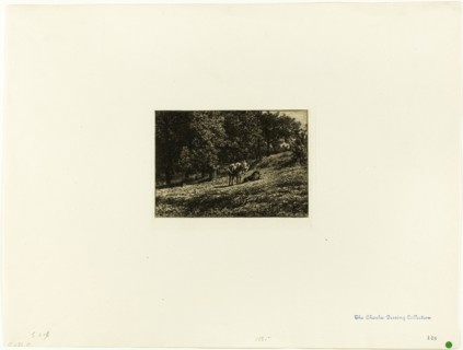 Orchard, c. 1864.