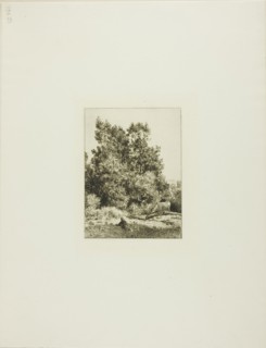 Landscape with Cowherd, c. 1865.