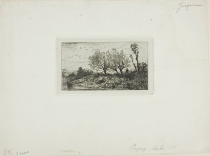 Landscape, Willow Trees, c. 1845.