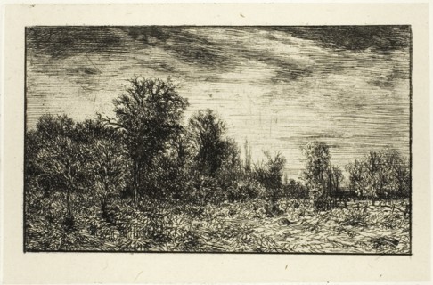 Edge of a Wood, under Cloudy Sky, 1846.
