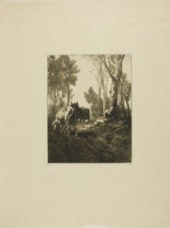 Cowherd, n.d.