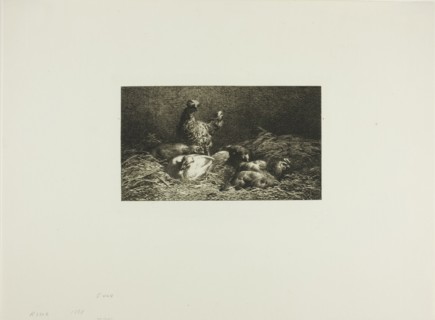Chickens in Their Roost, 1864–1866.