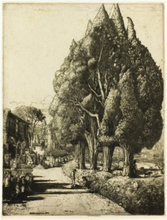 The Cypress Grove, 1904.