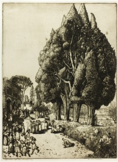 Cypress Grove, 1904.