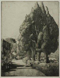 The Cypress Grove, 1904.
