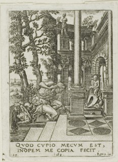 Narcissus, 1569.