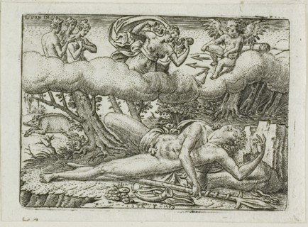 The Death of Adonis, n.d.