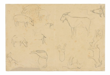Sketches of Various Animals and Head (recto), Sketches of a Head, Figure in Profile, Anatomical Details, and Animals (verso), 1891/93.