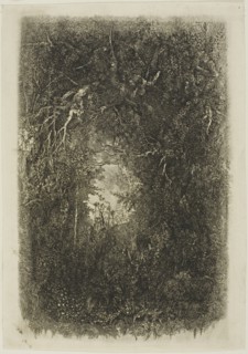 Clearing in the Forest, 1880.