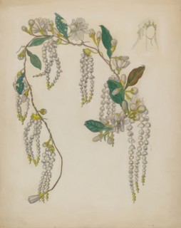Bridal Wreath, 1935/1942.