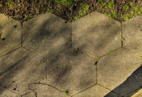 Fieldend Estate,  Strawberry Hill, Twickenham, Richmond upon Thames, London, 2019. Creator: Chris Redgrave.