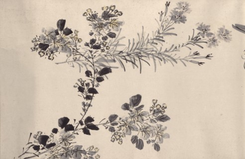Flowering plants of the four seasons, 1842. Creator: Oda Kaisen.