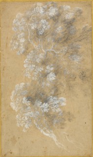Sketch of Foliage and Branches, c. 1645-50. Creator: Angeluccio.