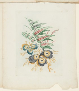 Plate, from New Suite of Notebooks of Ideal Flowers for Use by Draftsmen and Painters, c. 1795. Creator: Anne Allen.