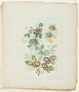Plate, from New Suite of Notebooks of Ideal Flowers for Use by Draftsmen and Painters, c. 1795. Creator: Anne Allen.