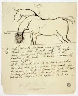 Sketch of Horse with Notations, n.d. Creator: Benjamin Robert Haydon.