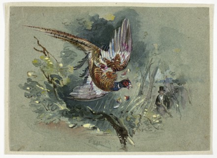 Pheasant and Hunter, 1825-1877. Creator: Charles B Newhouse.