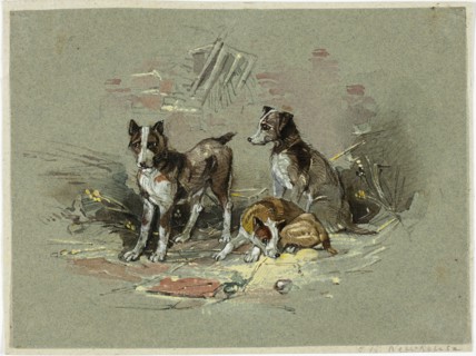 Three Dogs in an Alley, 1825-1877. Creator: Charles B Newhouse.