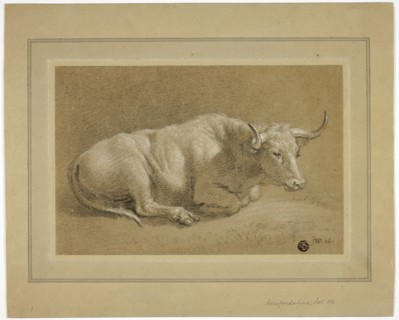 Herefordshire Fat Ox, n.d. Creator: James Ward.