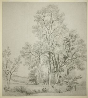A Stand of Elm Trees (recto); A Study of East Bergholt with the Church (verso), c. 1802. Creator: John Constable.