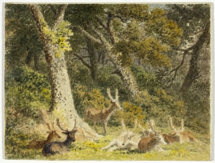 Deer Herd Resting, 1789-1844. Creator: Robert Hills.