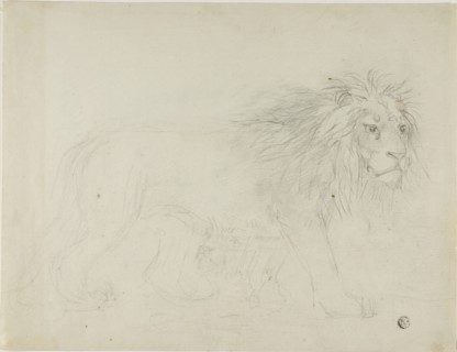 Lion, n.d. Creator: Sawrey Gilpin.