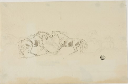 Horses Fighting, n.d. Creator: Sawrey Gilpin.