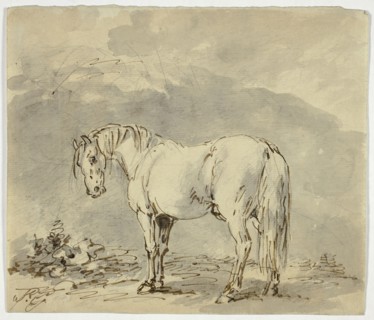 Standing Horse with Head Turned, n.d. Creator: Sawrey Gilpin.