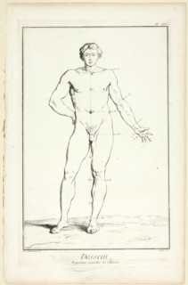 Design: General Proportions of the Male, from Encyclopédie, 1762/77. Creator: A. J. Defehrt.