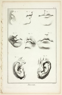 Design: Facial Anatomy from Encyclopédie, 1762/77. Creator: A. J. Defehrt.