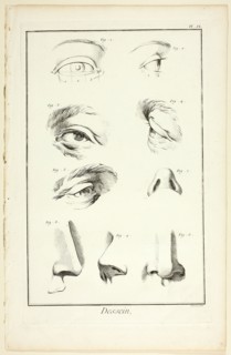 Design: Facial Anatomy from Encyclopédie, 1762/77. Creator: Benoit-Louis Prevost.