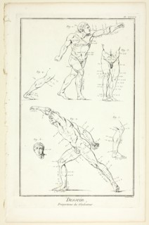 Design: Proportions of the Gladiator, from Encyclopédie, 1762/77. Creator: Benoit-Louis Prevost.