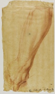 Left Arm of a Hunter, n.d. Creator: Bernard Baron.