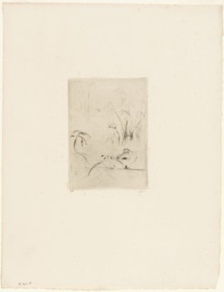 The Duck, 1889. Creator: Berthe Morisot.