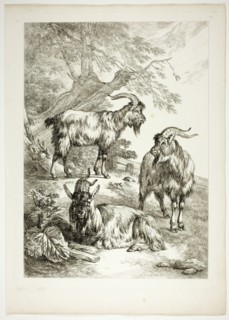 Plate Seventeen of 38 from Oeuvres de J. B. Huet, 1796–99. Creator: Jean Baptiste Marie Huet.