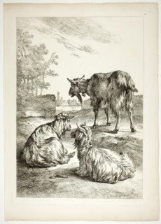 Plate Eighteen of 38 from Oeuvres de J. B. Huet, 1796–99. Creator: Jean Baptiste Marie Huet.