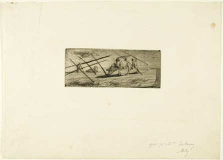 A Sheep Grazing, 1849. Creator: Jean Francois Millet.