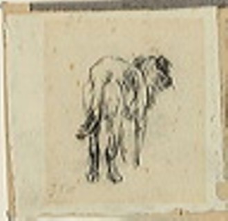 Study of a Dog, n.d. Creator: Jean Francois Millet.
