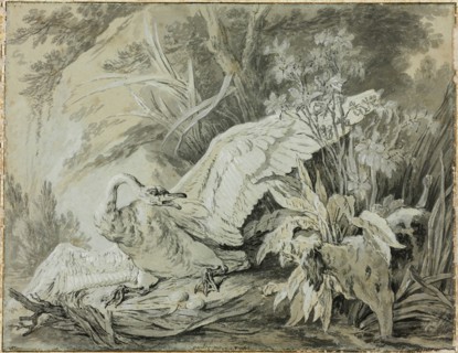 A Wild Swan Attacked by a Dog, c. 1740. Creator: Jean-Baptiste Oudry.