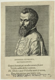 Portrait of Doctor Andreas Vesalius of Brussels, published 1574. Creators: Unknown, Johannes Sambucus.
