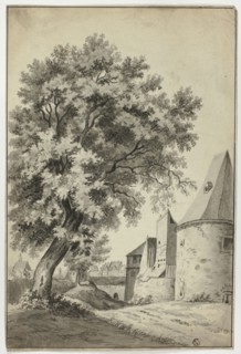 Walled Village and Tall Tree, n.d. Creator: Unknown.