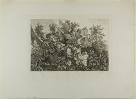Swamp Plants, n.d. Creator: Carl Wilhelm Kolbe the elder.