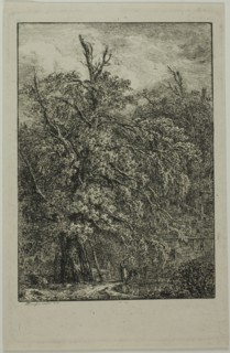 Great Tree, 1809. Creator: Domenico Quaglio II.