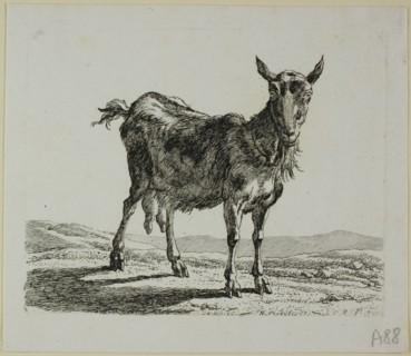 Standing Goat, from Die Zweite Thierfolge, 1800. Creator: Johann Christian Reinhart.