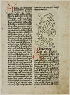 Hazelwort from Gart der Gesundheit (Garden of Health), Plate 16...1487...assembled 1929. Creators: Unknown, Konrad Dinckmut, Johannes de Cuba, Wilhelm Ludwig Schreiber.