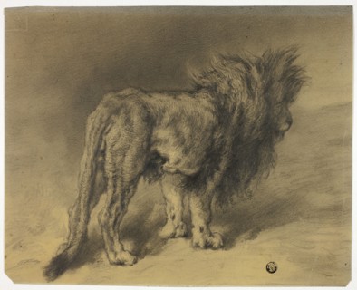 Standing Lion with Shaggy Mane, n.d. Creator: Frederik William Zurcher.