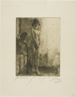 A Dark Corner, 1903. Creator: Anders Leonard Zorn.